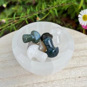 Mini Crystal Mushrooms